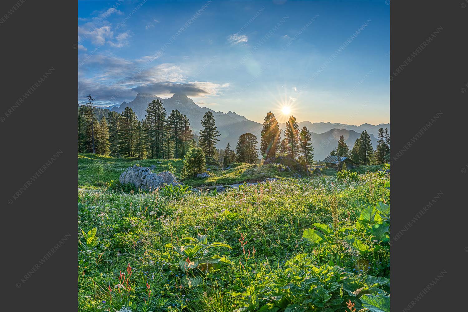 Die letzten Sonnenstrahlen wärmen noch die Almwiesen rund um das Schachenschloss - Frühling am Schachen 1:1  -- Sonnenuntergang im Wettersteingebirge - mehr Infos bei www.Kriner-Weiermann.de