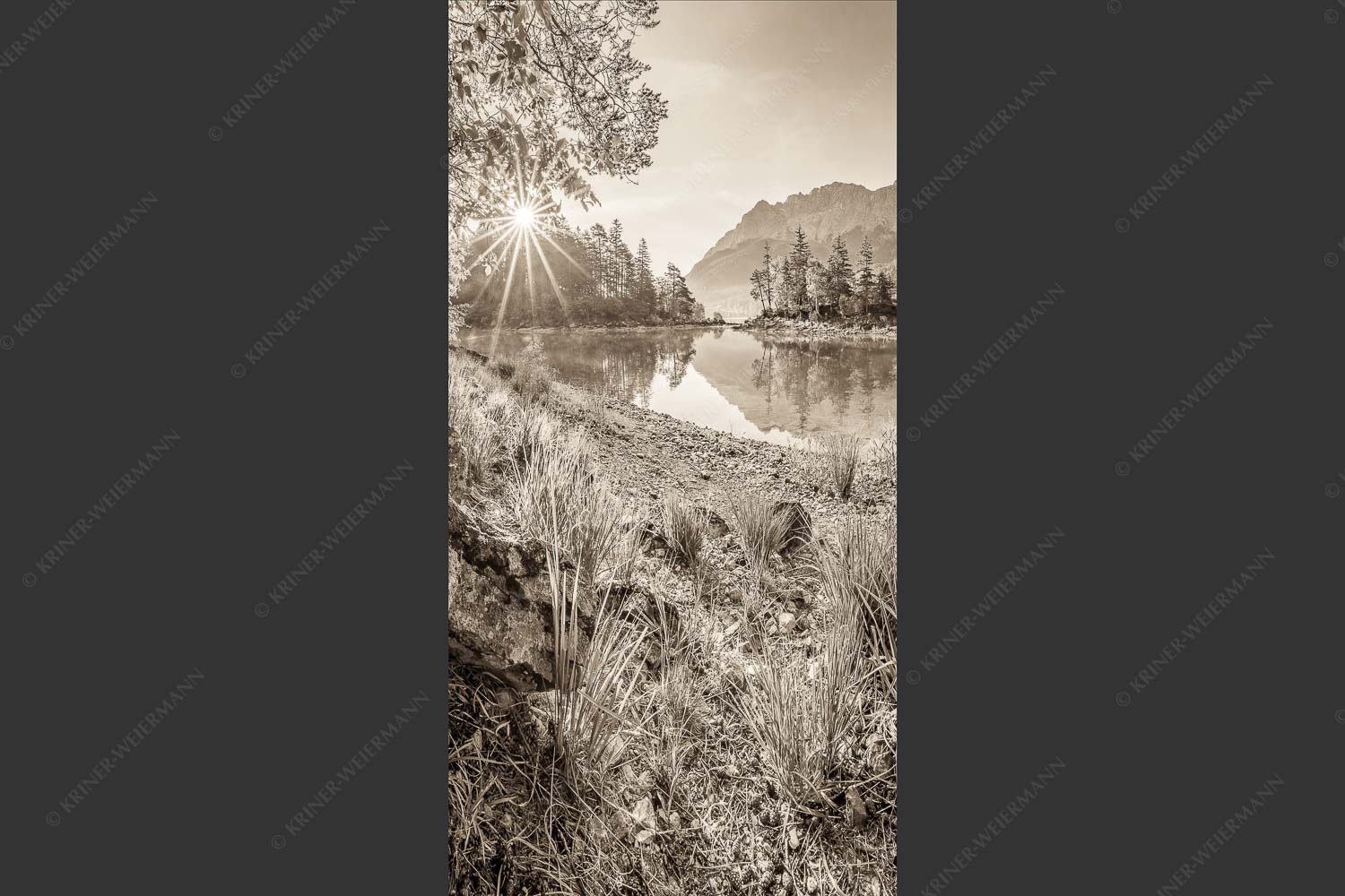 Blick über Eibsee zur Zugspitze im Wettersteingebirge - Heimliche Bucht 1:2 sepia -- Sonnenaufgang am Eibsee mit Zugspitze - mehr Infos bei www.Kriner-Weiermann.de