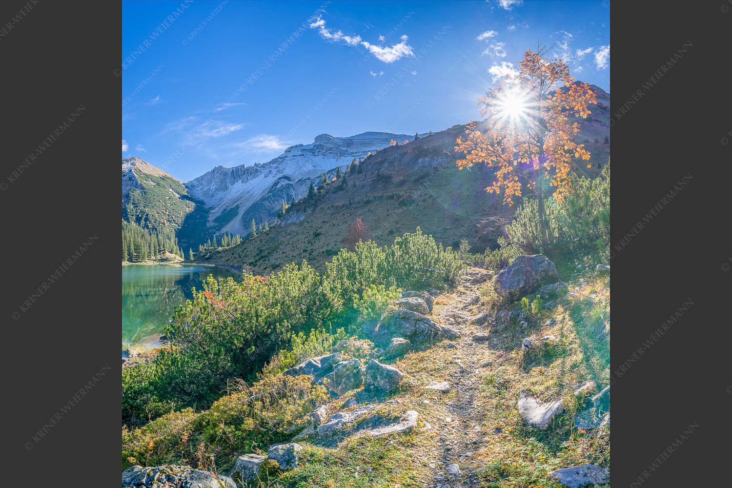 Bunt färben sich die Ebereschen im Herbst rund um den Soiernkessel - Herbst am Soiern 1:1  -- Soiernspitze mit Soiernsee - mehr Infos bei www.Kriner-Weiermann.de