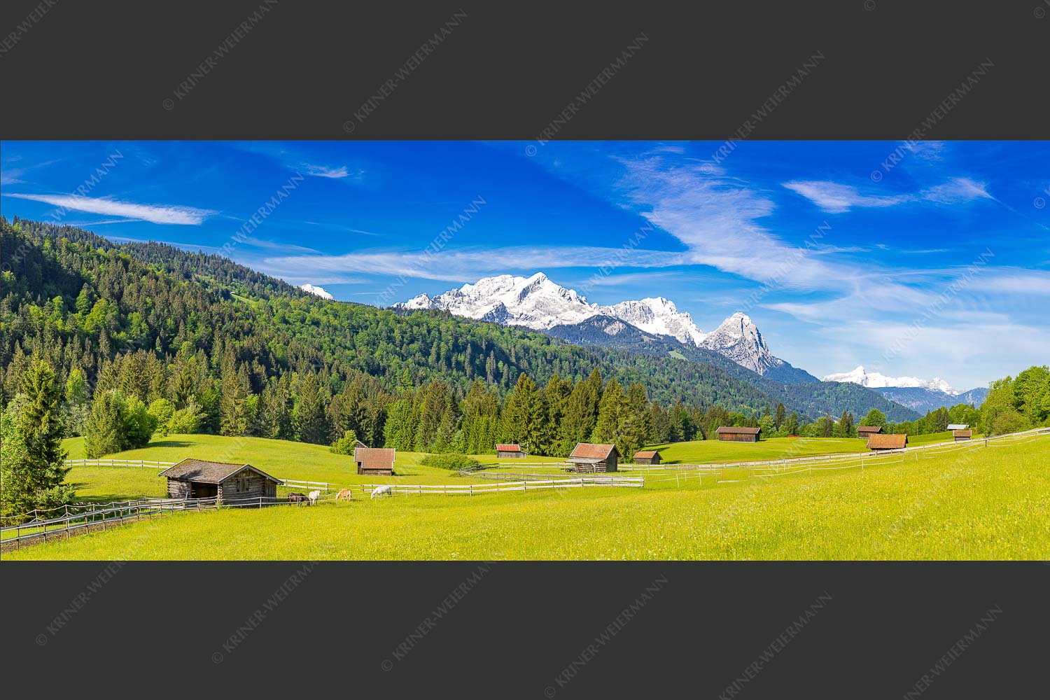 Typische Werdenfelser Landschaft mit Wiesen und Heustadeln und dem Blick zum Zugspitzmassiv - Idyllischer Zugspitzblick 2,5:1  -- Heustadel Alpspitze Zugspitze Waxenstein - mehr Infos bei www.Kriner-Weiermann.de