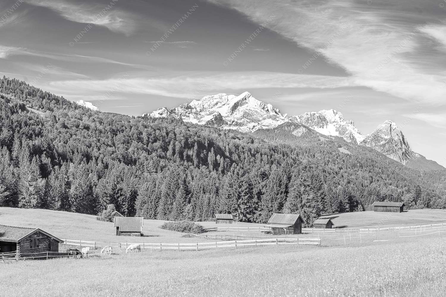 Typische Werdenfelser Landschaft mit Wiesen und Heustadeln und dem Blick zum Zugspitzmassiv - Idyllischer Zugspitzblick 3:2 sw -- Heustadel Alpspitze Zugspitze Waxenstein - mehr Infos bei www.Kriner-Weiermann.de