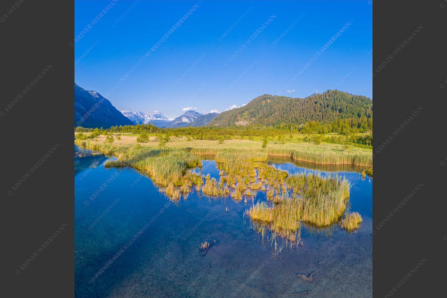 Blick durchs Loisachtal zur Zugspitze im Wetterstein - In der Früh am Mühlbach 1:1  -- Loisachtal mit Wetterstein - mehr Infos bei www.Kriner-Weiermann.de