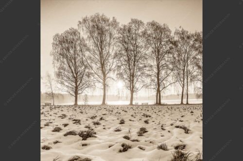 Blick über den Staffelsee in Uffing in den Sonnenaufgang - In der Früh 1:1 sepia -- Uffing am Staffelsee - mehr Infos bei www.Kriner-Weiermann.de