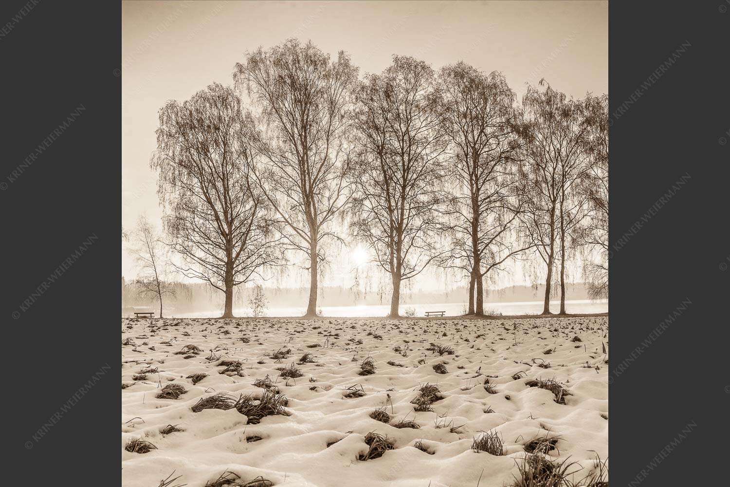Blick über den Staffelsee in Uffing in den Sonnenaufgang - In der Früh 1:1 sepia -- Uffing am Staffelsee - mehr Infos bei www.Kriner-Weiermann.de