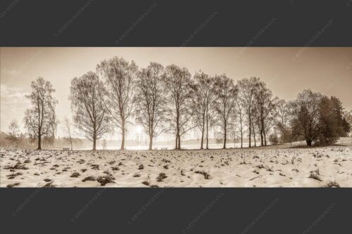 Blick über den Staffelsee in Uffing in den Sonnenaufgang - In der Früh 2,5:1 sepia -- Uffing am Staffelsee - mehr Infos bei www.Kriner-Weiermann.de
