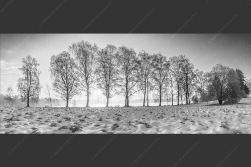 Blick über den Staffelsee in Uffing in den Sonnenaufgang - In der Früh 2,5:1 sw -- Uffing am Staffelsee - mehr Infos bei www.Kriner-Weiermann.de