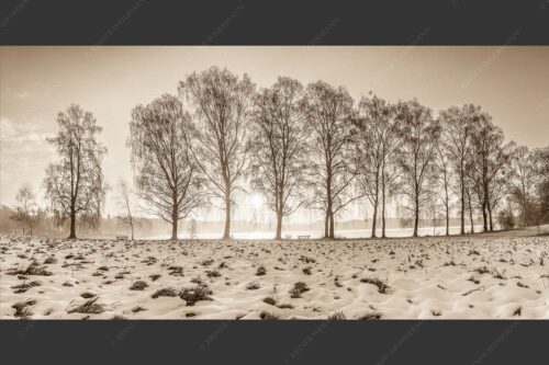 Blick über den Staffelsee in Uffing in den Sonnenaufgang - In der Früh 2:1 sepia -- Uffing am Staffelsee - mehr Infos bei www.Kriner-Weiermann.de