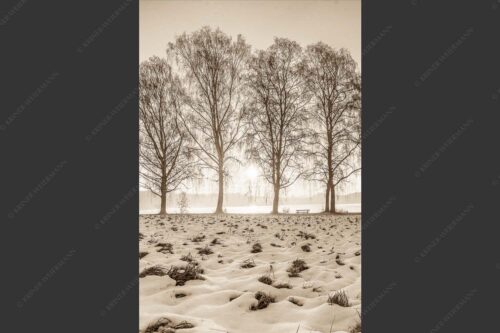 Blick über den Staffelsee in Uffing in den Sonnenaufgang - In der Früh 2:3 sepia -- Uffing am Staffelsee - mehr Infos bei www.Kriner-Weiermann.de