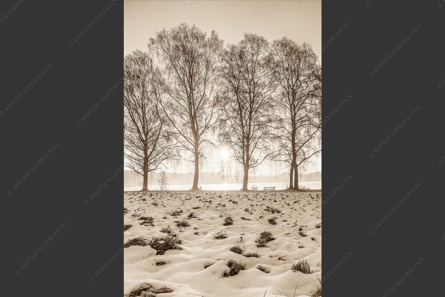 Blick über den Staffelsee in Uffing in den Sonnenaufgang - In der Früh 2:3 sepia -- Uffing am Staffelsee - mehr Infos bei www.Kriner-Weiermann.de