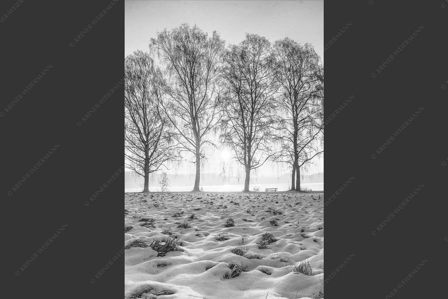 Blick über den Staffelsee in Uffing in den Sonnenaufgang - In der Früh 2:3 sw -- Uffing am Staffelsee - mehr Infos bei www.Kriner-Weiermann.de