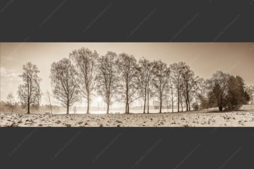 Blick über den Staffelsee in Uffing in den Sonnenaufgang - In der Früh 3:1 sepia -- Uffing am Staffelsee - mehr Infos bei www.Kriner-Weiermann.de