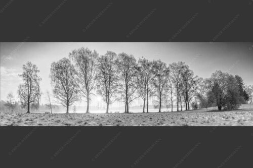 Blick über den Staffelsee in Uffing in den Sonnenaufgang - In der Früh 3:1 sw -- Uffing am Staffelsee - mehr Infos bei www.Kriner-Weiermann.de