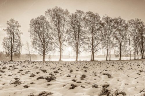 Blick über den Staffelsee in Uffing in den Sonnenaufgang - In der Früh 3:2 sepia -- Uffing am Staffelsee - mehr Infos bei www.Kriner-Weiermann.de