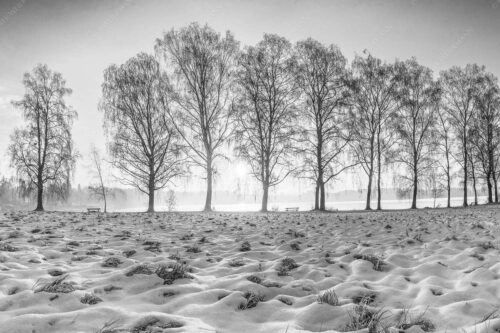 Blick über den Staffelsee in Uffing in den Sonnenaufgang - In der Früh 3:2 sw -- Uffing am Staffelsee - mehr Infos bei www.Kriner-Weiermann.de