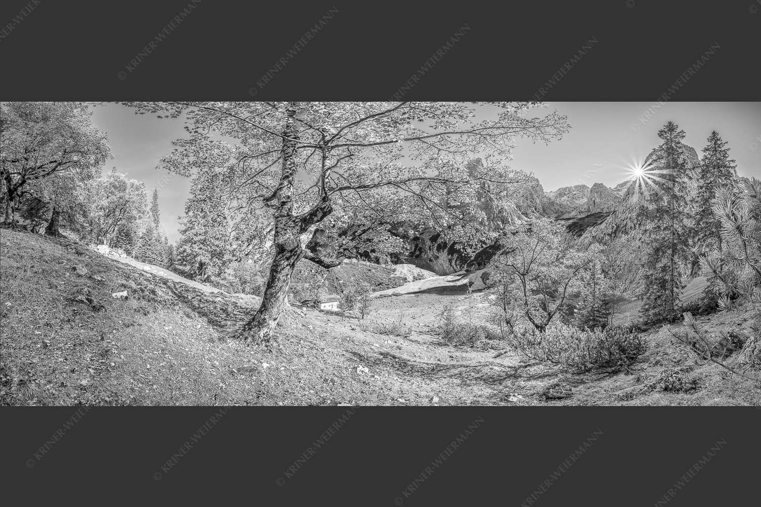 Letzte Sonne im Oberreintal im Wetterstein - Keiner mehr da! 2,5:1 sw -- Herbst Ahorn mit Oberreintalhütte - mehr Infos bei www.Kriner-Weiermann.de