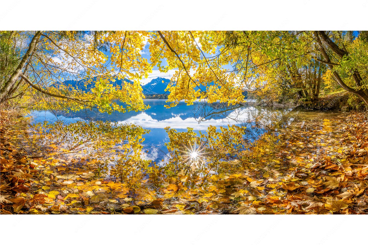 Herbstfärbung am Barmsee - Farbpalette_2zu1 - mehr Infos bei www.Kriner-Weiermann.de