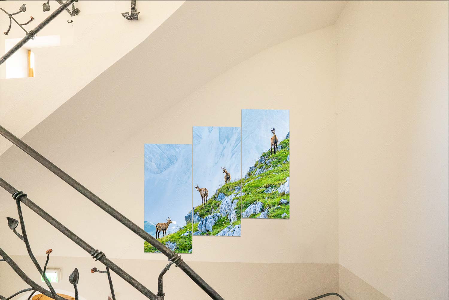 Junge Gams im Karwendel - Kriner Stubn Treppenaufgang1-Split Aufgereiht 1:1 - mehr Infos bei www.Kriner-Weiermann.de