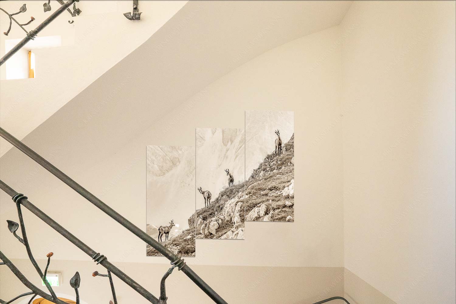 Junge Gams im Karwendel - Kriner Stubn Treppenaufgang1-Split Aufgereiht 1:1 sepia - mehr Infos bei www.Kriner-Weiermann.de