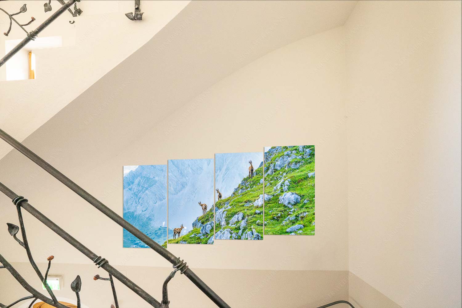 Junge Gams im Karwendel - Kriner Stubn Treppenaufgang1-Split Aufgereiht 2:1 - mehr Infos bei www.Kriner-Weiermann.de