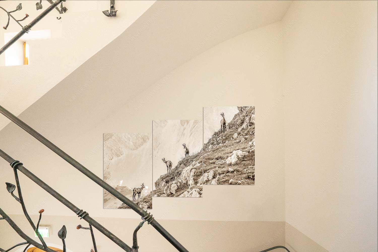 Junge Gams im Karwendel - Kriner Stubn Treppenaufgang1-Split Aufgereiht 3:2 sepia - mehr Infos bei www.Kriner-Weiermann.de
