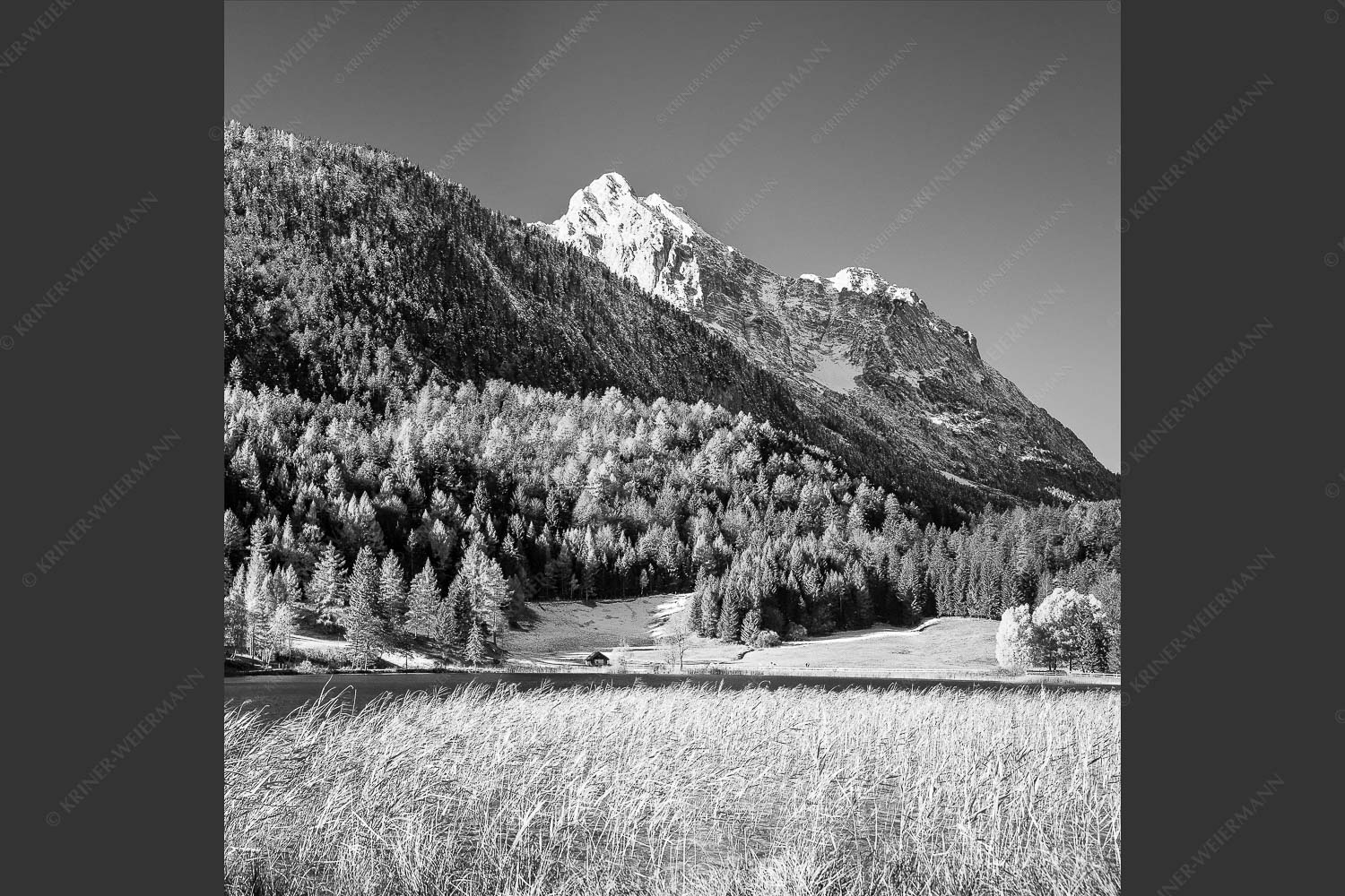 Blick über den Lautersee zum Grünkopf und der Unteren Wettersteinspitze - Lauterseeherbst 1:1 sw -- Harbst am Lautersee mit Wetterstein - mehr Infos bei www.Kriner-Weiermann.de