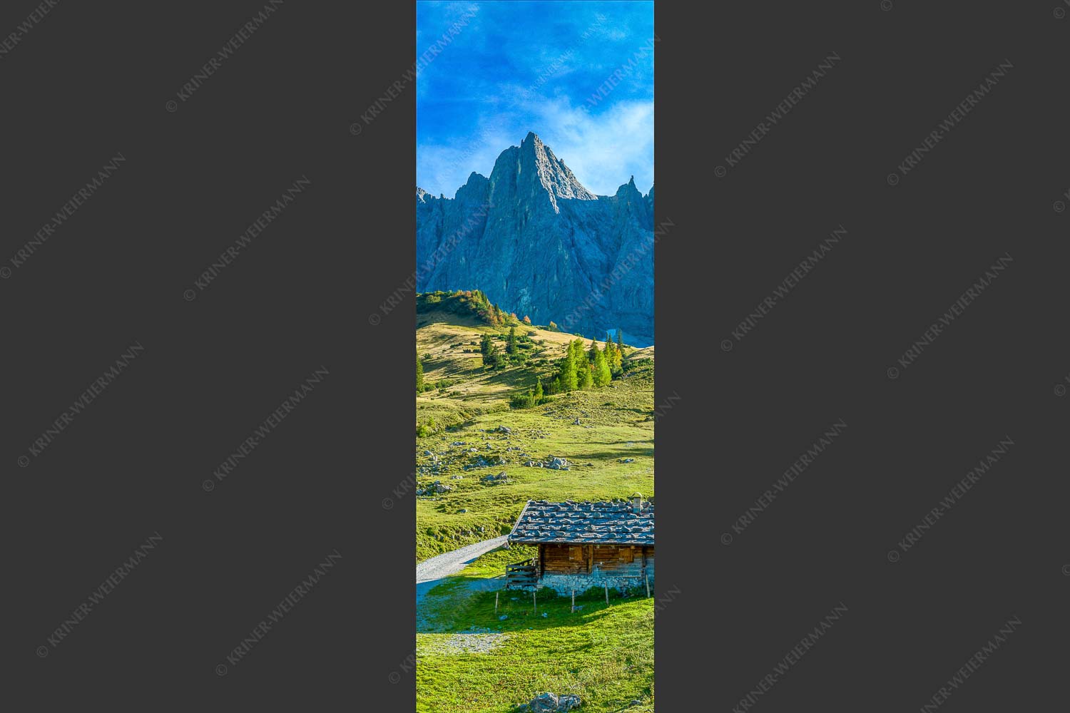 Blick über die Ladizalm zur Lalidererspitze im Karwendelgebirge - Malerisches Karwendel 1:3  -- Ladizalm im Karwendel - mehr Infos bei www.Kriner-Weiermann.de