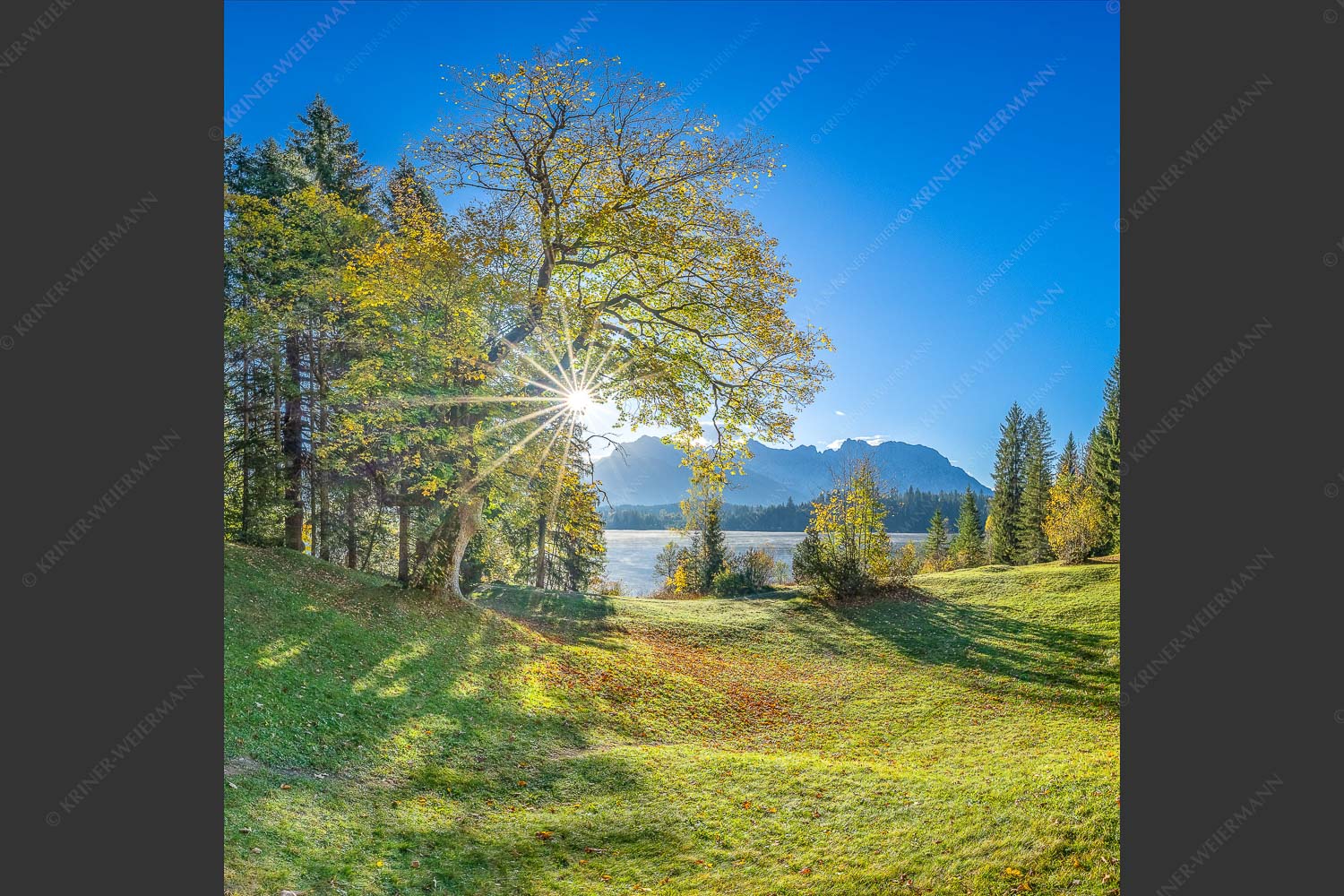 Blick über den Barmsee zum Karwendelgebirge - Schönste Plätze II 1:1  -- Alter Ahorn am Barmsee - mehr Infos bei www.Kriner-Weiermann.de