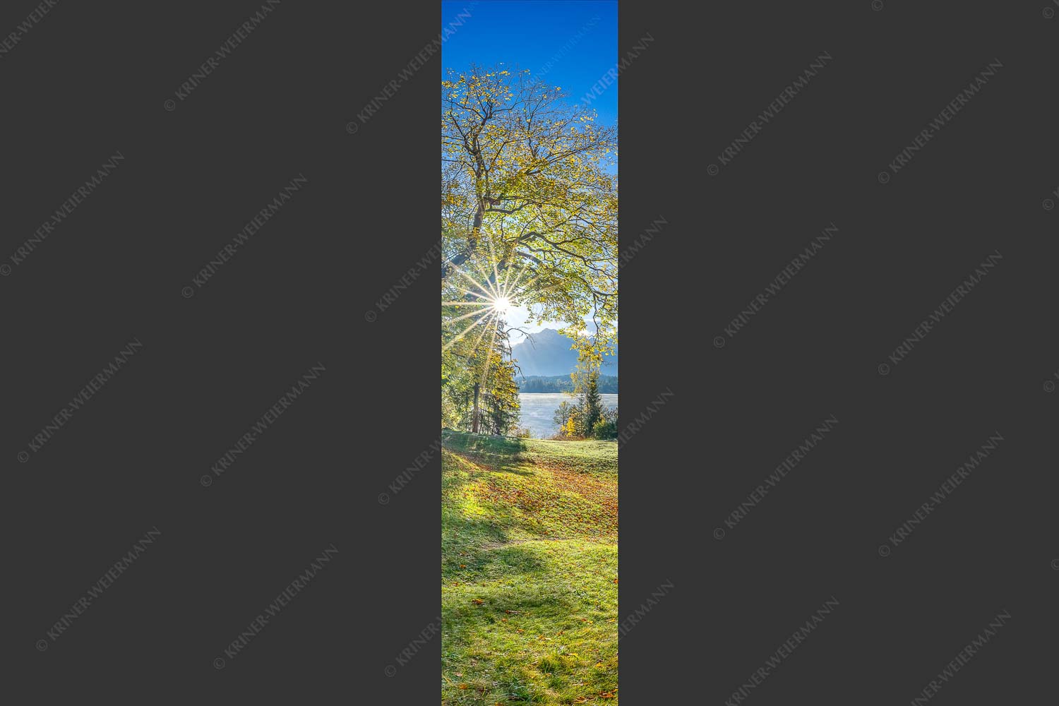 Blick über den Barmsee zum Karwendelgebirge - Schönste Plätze II 1:4  -- Alter Ahorn am Barmsee - mehr Infos bei www.Kriner-Weiermann.de