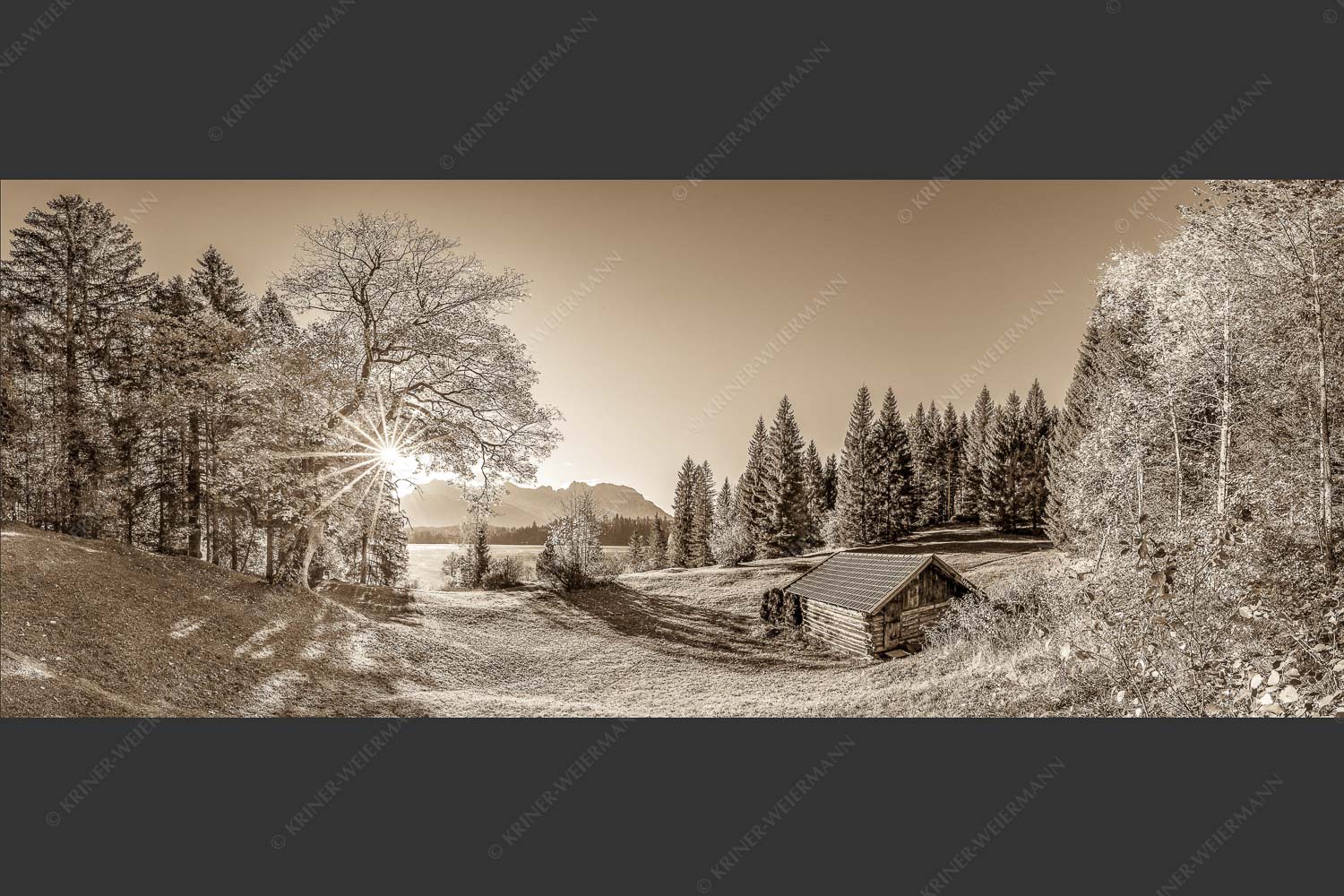 Blick über den Barmsee zum Karwendelgebirge - Schönste Plätze II 2,5:1 sepia -- Alter Ahorn am Barmsee - mehr Infos bei www.Kriner-Weiermann.de