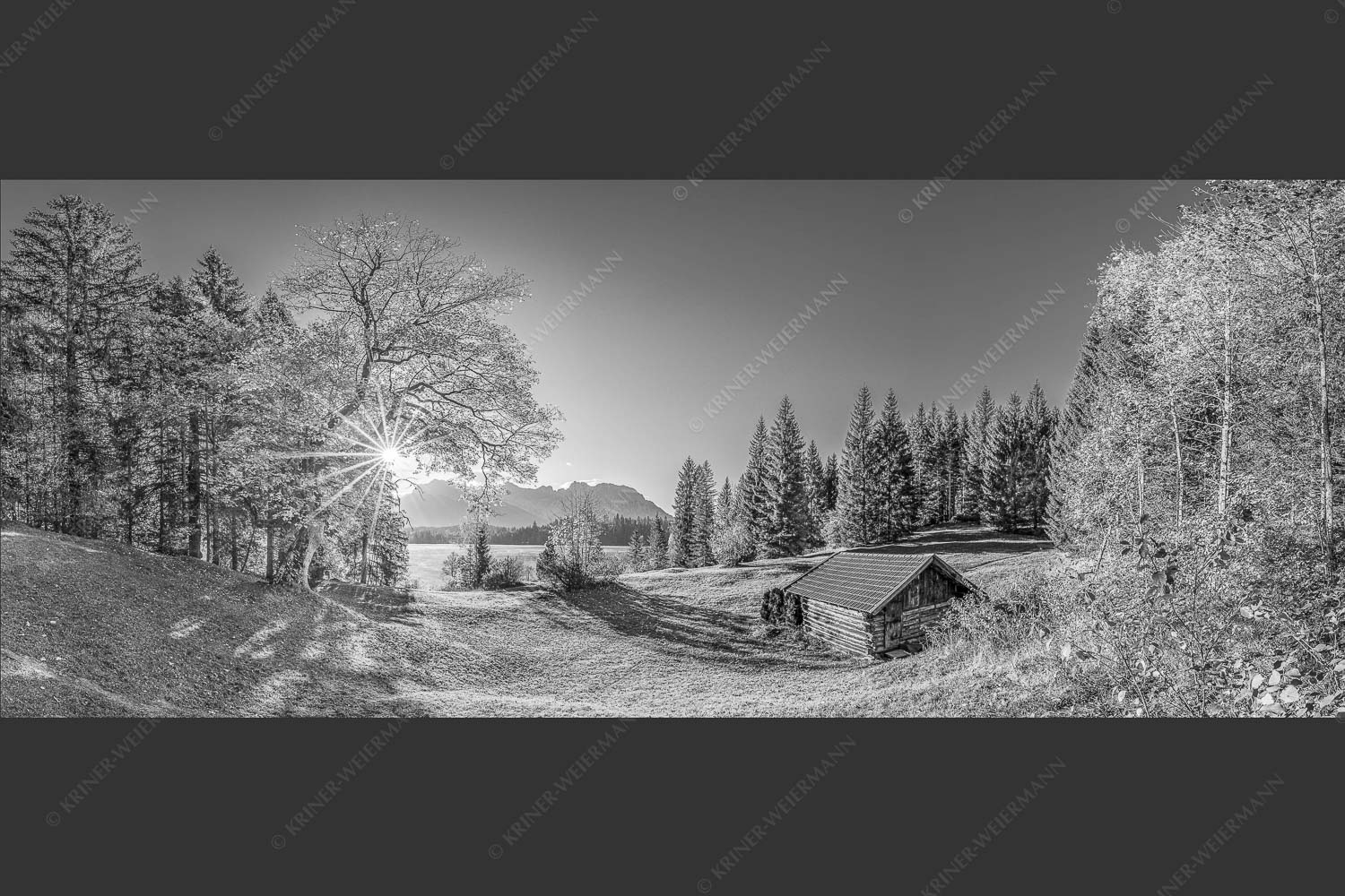 Blick über den Barmsee zum Karwendelgebirge - Schönste Plätze II 2,5:1 sw -- Alter Ahorn am Barmsee - mehr Infos bei www.Kriner-Weiermann.de
