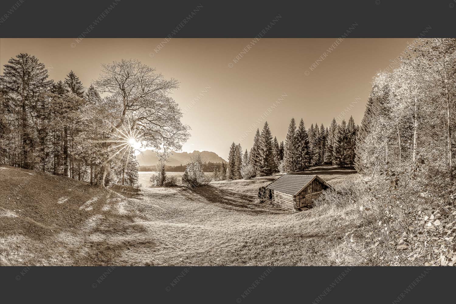 Blick über den Barmsee zum Karwendelgebirge - Schönste Plätze II 2:1 sepia -- Alter Ahorn am Barmsee - mehr Infos bei www.Kriner-Weiermann.de