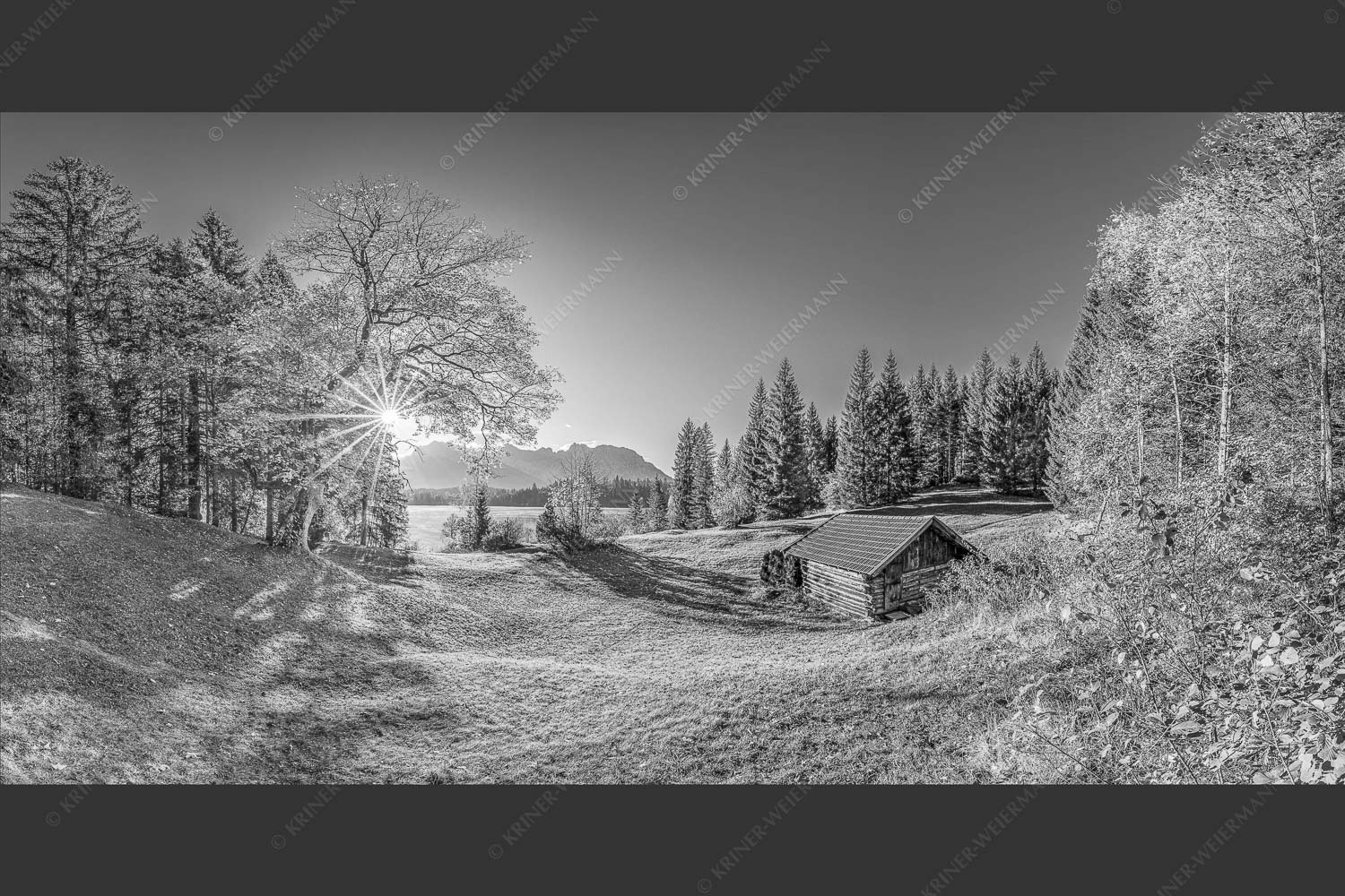 Blick über den Barmsee zum Karwendelgebirge - Schönste Plätze II 2:1 sw -- Alter Ahorn am Barmsee - mehr Infos bei www.Kriner-Weiermann.de