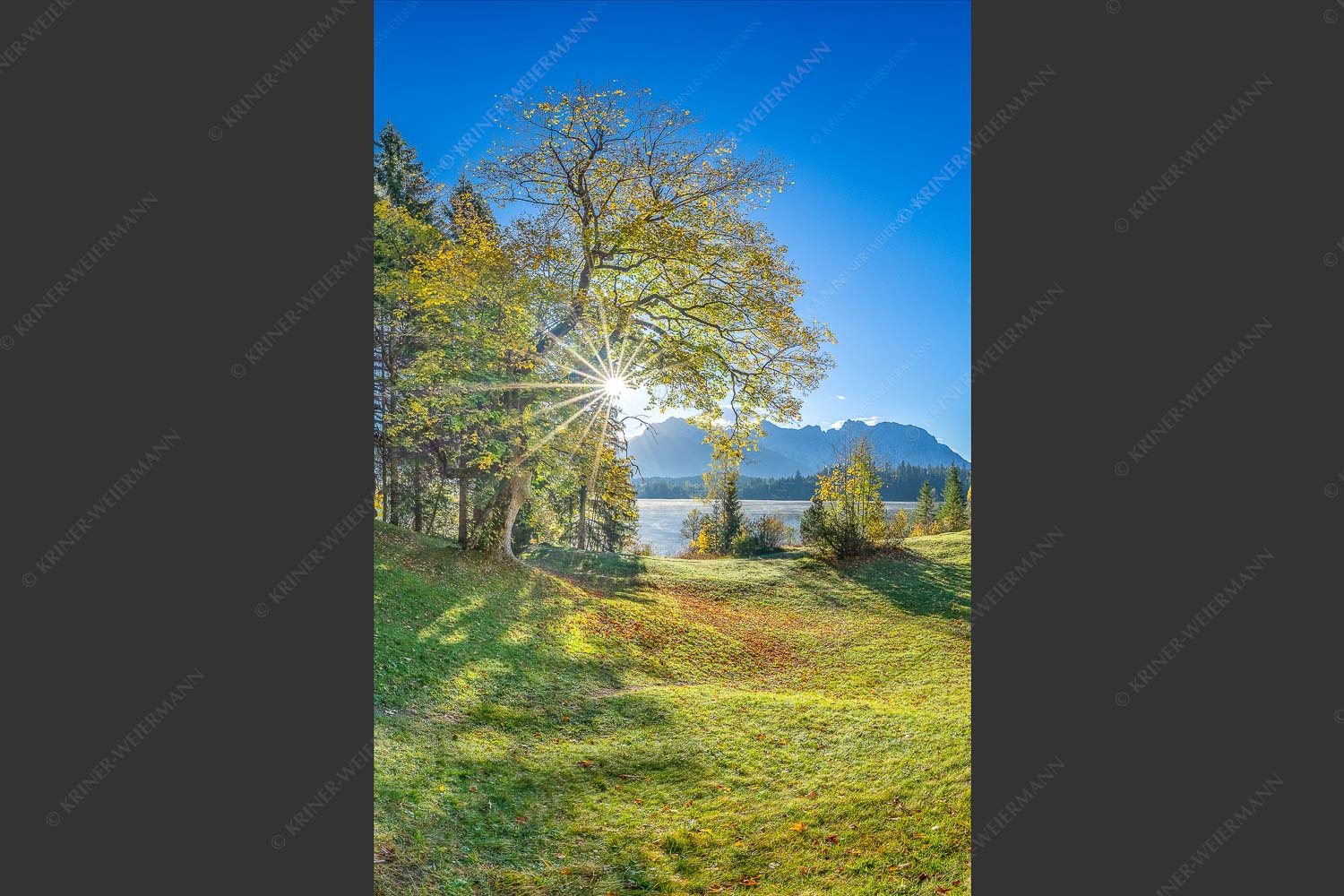 Blick über den Barmsee zum Karwendelgebirge - Schönste Plätze II 2:3  -- Alter Ahorn am Barmsee - mehr Infos bei www.Kriner-Weiermann.de