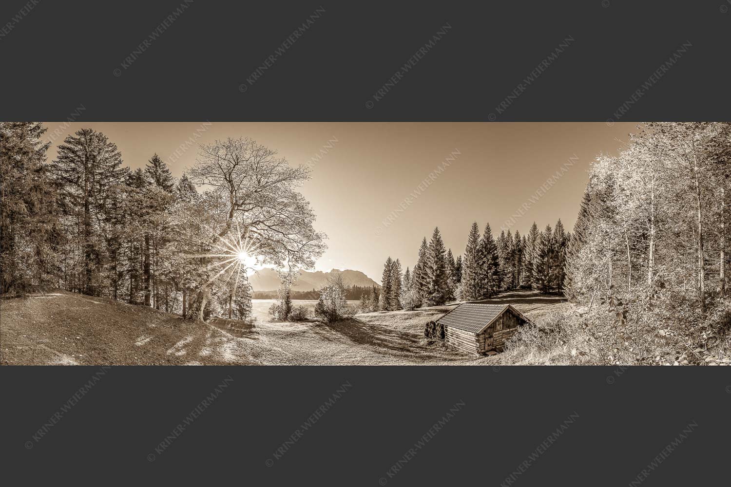 Blick über den Barmsee zum Karwendelgebirge - Schönste Plätze II 3:1 sepia -- Alter Ahorn am Barmsee - mehr Infos bei www.Kriner-Weiermann.de