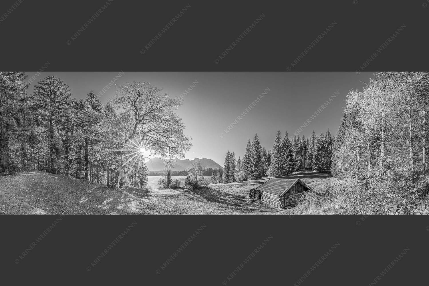 Blick über den Barmsee zum Karwendelgebirge - Schönste Plätze II 3:1 sw -- Alter Ahorn am Barmsee - mehr Infos bei www.Kriner-Weiermann.de