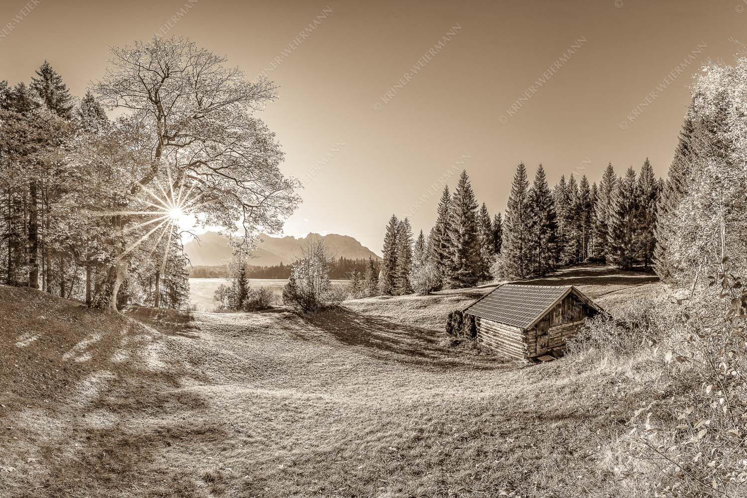 Blick über den Barmsee zum Karwendelgebirge - Schönste Plätze II 3:2 sepia -- Alter Ahorn am Barmsee - mehr Infos bei www.Kriner-Weiermann.de