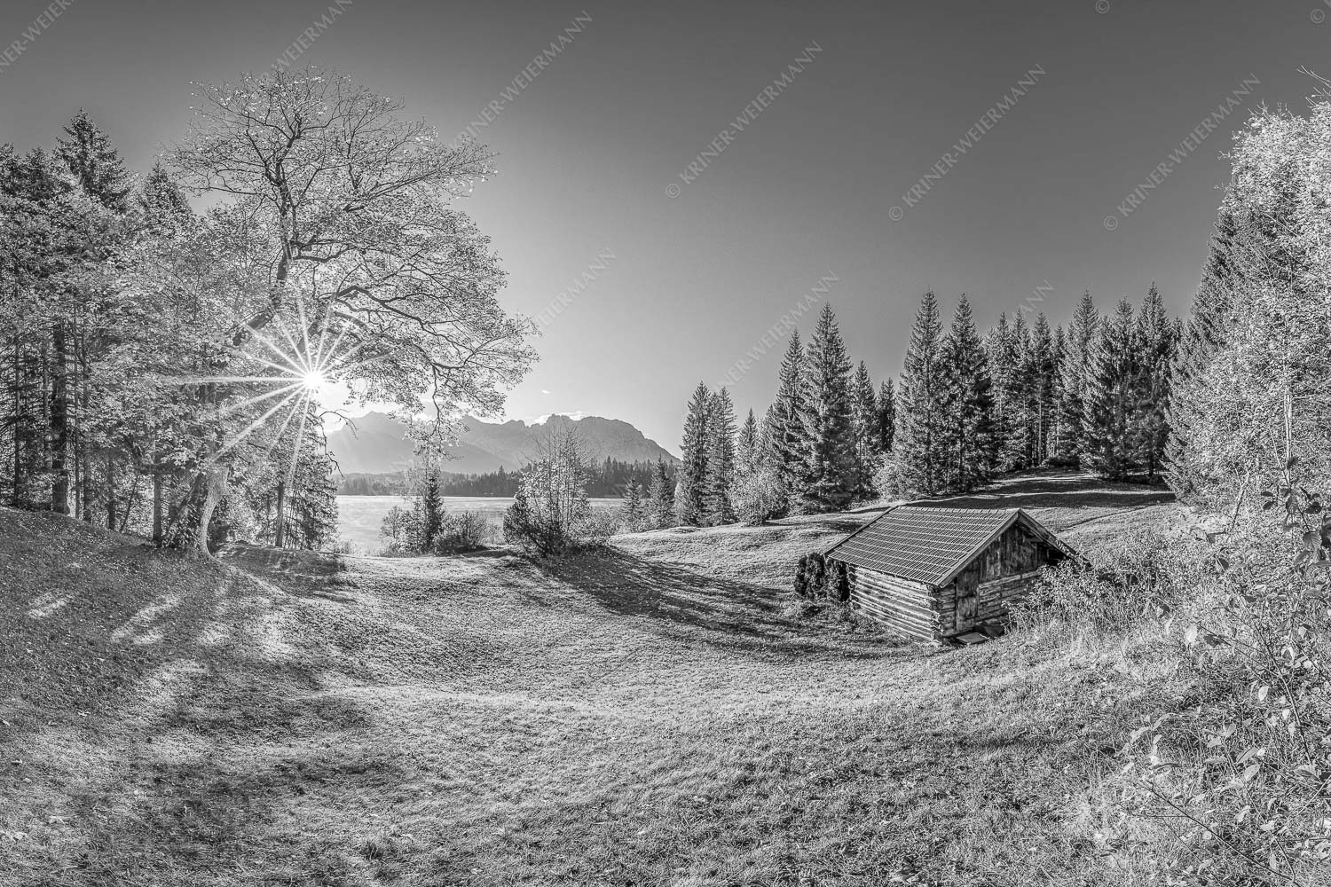 Blick über den Barmsee zum Karwendelgebirge - Schönste Plätze II 3:2 sw -- Alter Ahorn am Barmsee - mehr Infos bei www.Kriner-Weiermann.de