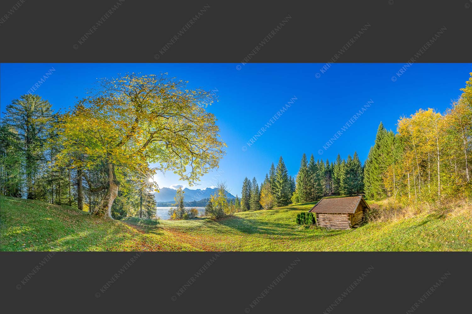 Blick über den Barmsee zum Karwendelgebirge - Schönste Plätze III 2,5:1  -- Ahorn am Barmsee mit Karwendel - mehr Infos bei www.Kriner-Weiermann.de