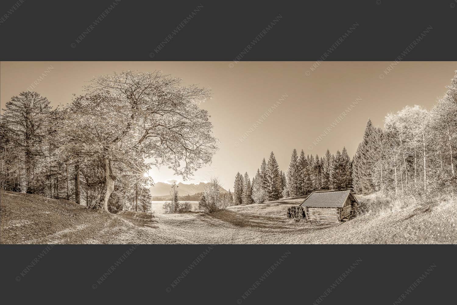 Blick über den Barmsee zum Karwendelgebirge - Schönste Plätze III 2,5:1 sepia -- Ahorn am Barmsee mit Karwendel - mehr Infos bei www.Kriner-Weiermann.de