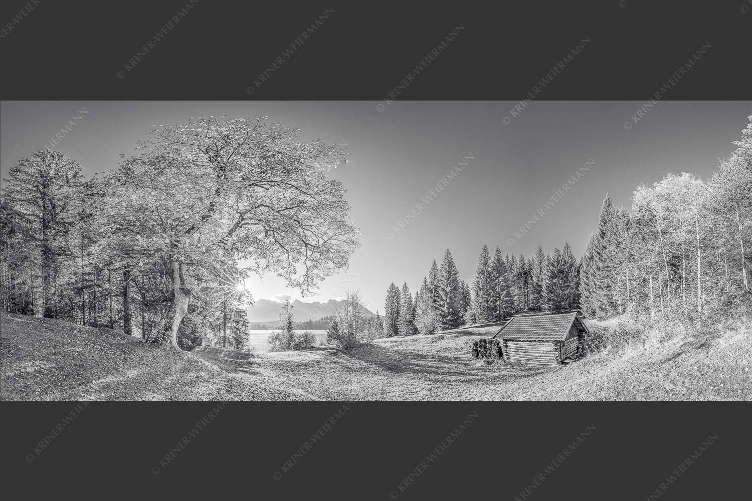 Blick über den Barmsee zum Karwendelgebirge - Schönste Plätze III 2,5:1 sw -- Ahorn am Barmsee mit Karwendel - mehr Infos bei www.Kriner-Weiermann.de