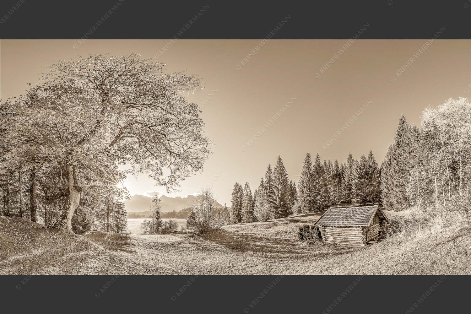 Blick über den Barmsee zum Karwendelgebirge - Schönste Plätze III 2:1 sepia -- Ahorn am Barmsee mit Karwendel - mehr Infos bei www.Kriner-Weiermann.de