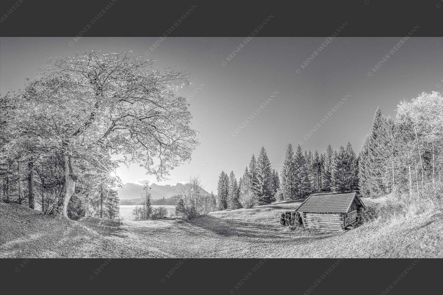 Blick über den Barmsee zum Karwendelgebirge - Schönste Plätze III 2:1 sw -- Ahorn am Barmsee mit Karwendel - mehr Infos bei www.Kriner-Weiermann.de