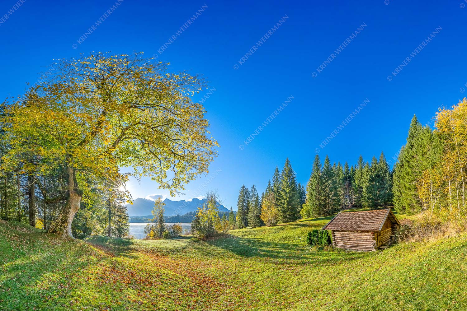 Blick über den Barmsee zum Karwendelgebirge - Schönste Plätze III 3:2  -- Ahorn am Barmsee mit Karwendel - mehr Infos bei www.Kriner-Weiermann.de