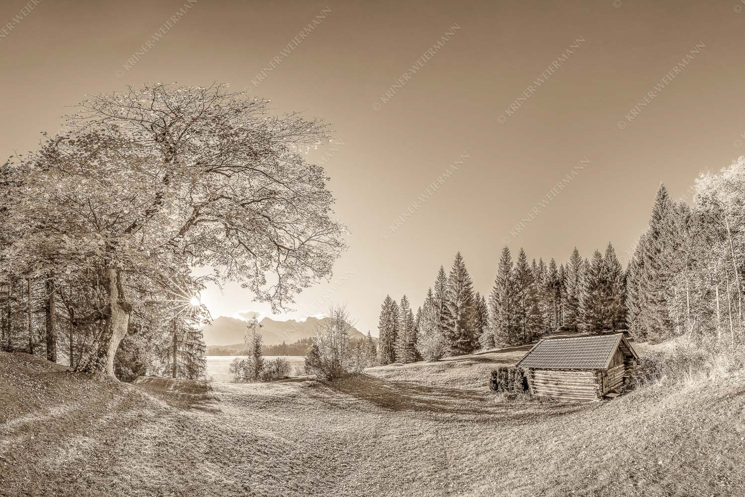 Blick über den Barmsee zum Karwendelgebirge - Schönste Plätze III 3:2 sepia -- Ahorn am Barmsee mit Karwendel - mehr Infos bei www.Kriner-Weiermann.de