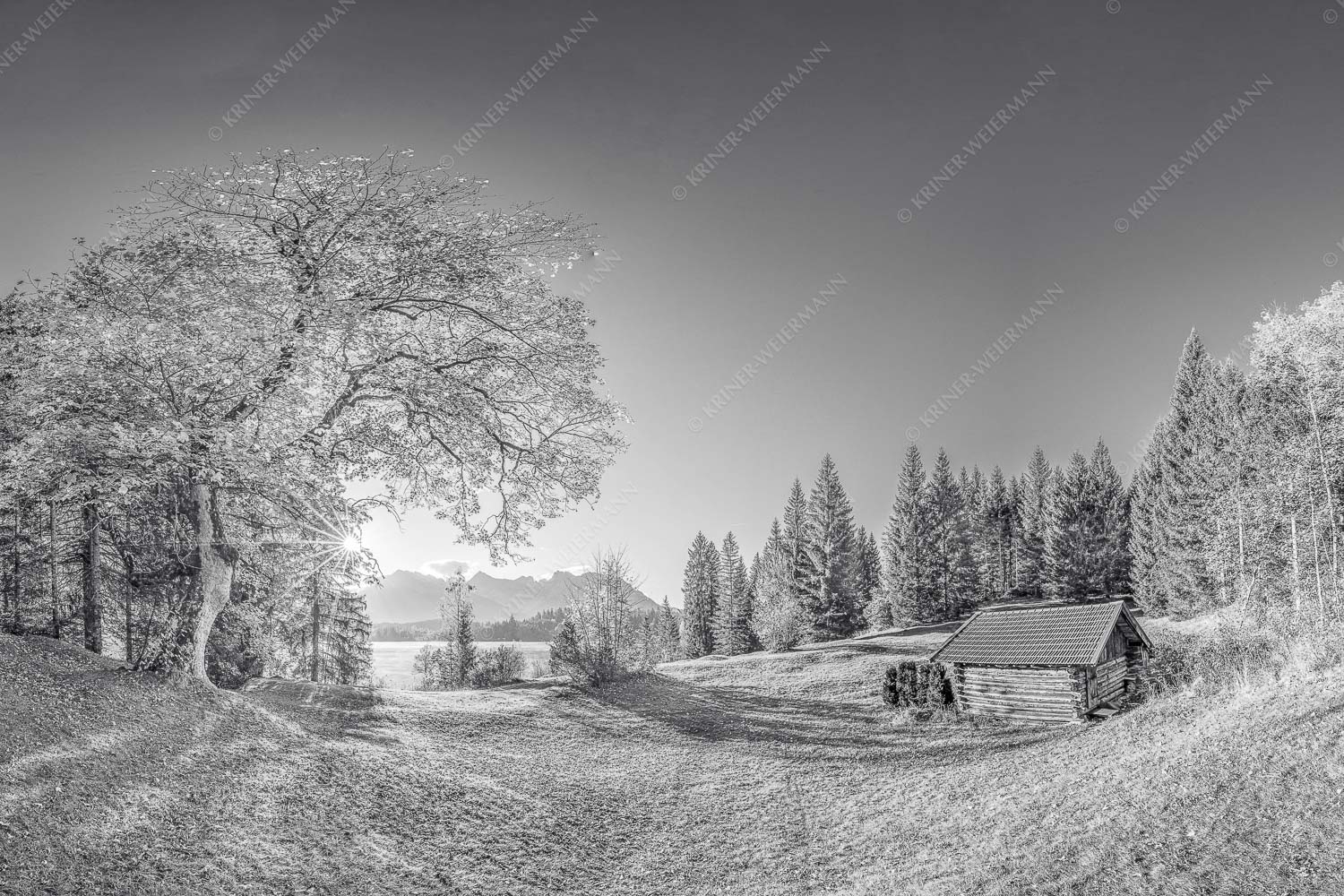 Blick über den Barmsee zum Karwendelgebirge - Schönste Plätze III 3:2 sw -- Ahorn am Barmsee mit Karwendel - mehr Infos bei www.Kriner-Weiermann.de