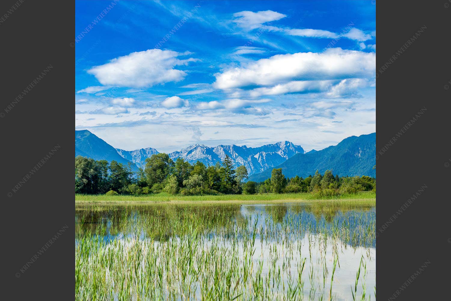 Überschwemmtes Feld nach Hochwasser bei Murnau mit Zugspitzmassiv - Überfluss 1:1  -- Murnau mit Alpspitze und Zugspitze - mehr Infos bei www.Kriner-Weiermann.de