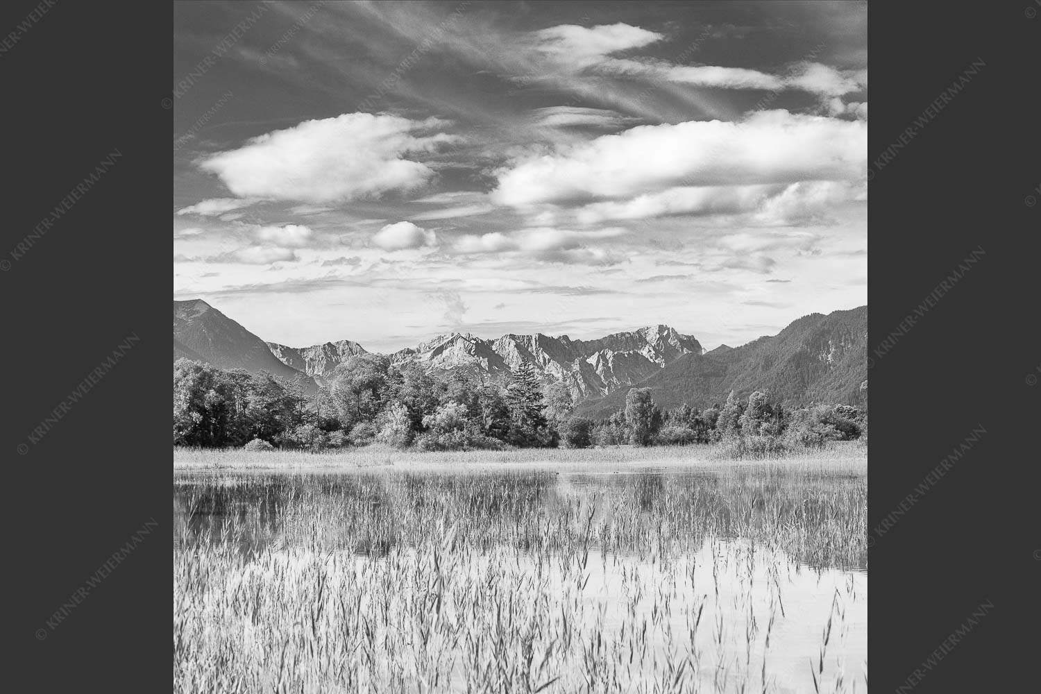Überschwemmtes Feld nach Hochwasser bei Murnau mit Zugspitzmassiv - Überfluss 1:1 sw -- Murnau mit Alpspitze und Zugspitze - mehr Infos bei www.Kriner-Weiermann.de