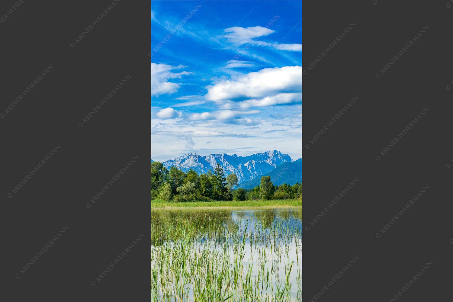 Überschwemmtes Feld nach Hochwasser bei Murnau mit Zugspitzmassiv - Überfluss 1:2  -- Murnau mit Alpspitze und Zugspitze - mehr Infos bei www.Kriner-Weiermann.de