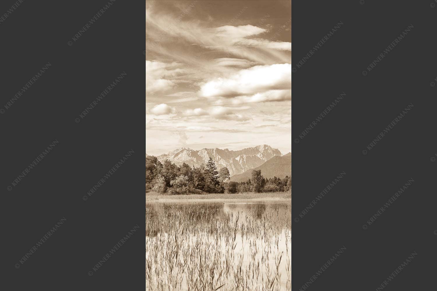 Überschwemmtes Feld nach Hochwasser bei Murnau mit Zugspitzmassiv - Überfluss 1:2 sepia -- Murnau mit Alpspitze und Zugspitze - mehr Infos bei www.Kriner-Weiermann.de