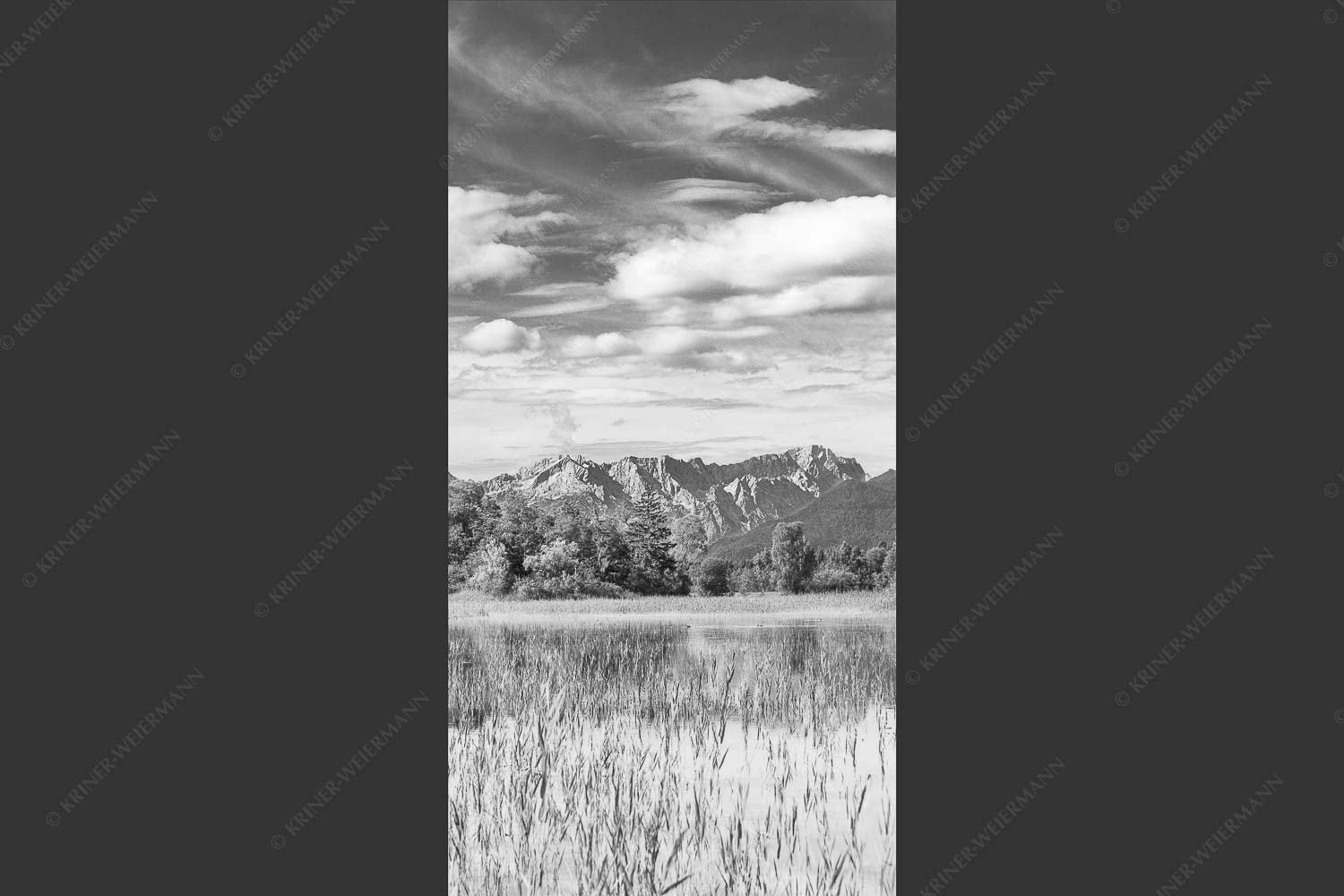 Überschwemmtes Feld nach Hochwasser bei Murnau mit Zugspitzmassiv - Überfluss 1:2 sw -- Murnau mit Alpspitze und Zugspitze - mehr Infos bei www.Kriner-Weiermann.de